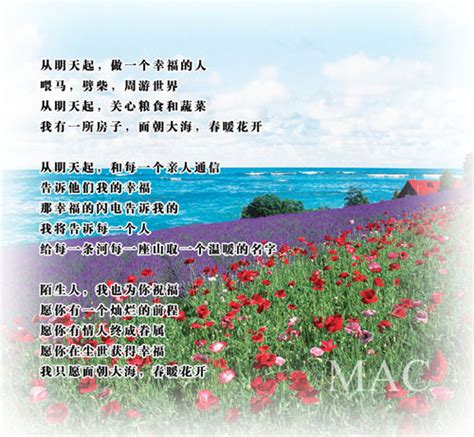 面朝大海春暖花開意思|海子 面朝大海，春暖花开 Translation: Facing the Sea, With。